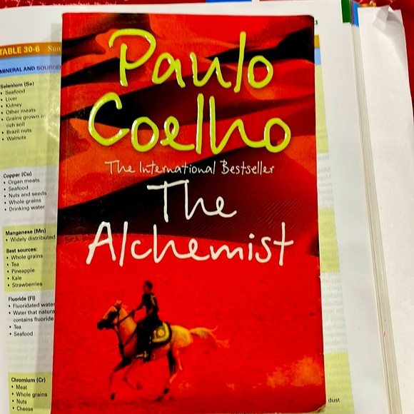 Other - “The Alchemist “ by Paulo Coelho BOOK 📕